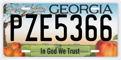 GA license plate PZE5366