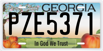 GA license plate PZE5371