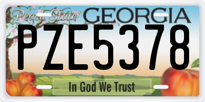 GA license plate PZE5378