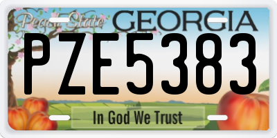 GA license plate PZE5383