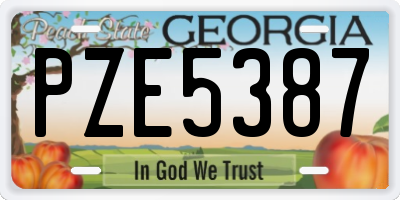 GA license plate PZE5387