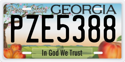 GA license plate PZE5388