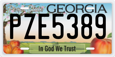 GA license plate PZE5389