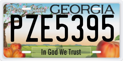 GA license plate PZE5395