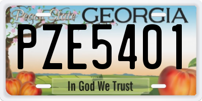 GA license plate PZE5401