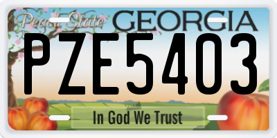 GA license plate PZE5403