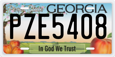 GA license plate PZE5408