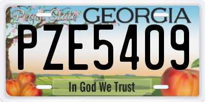 GA license plate PZE5409