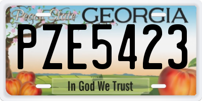 GA license plate PZE5423
