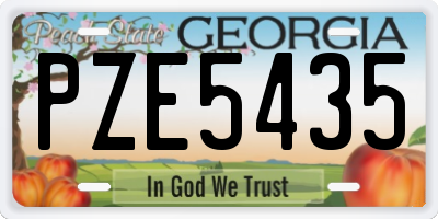GA license plate PZE5435