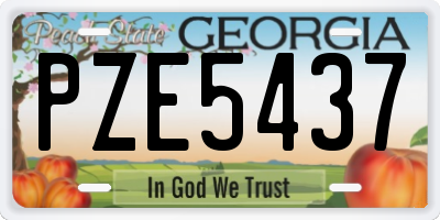 GA license plate PZE5437