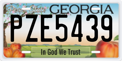 GA license plate PZE5439