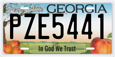 GA license plate PZE5441