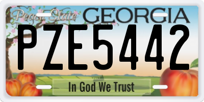 GA license plate PZE5442