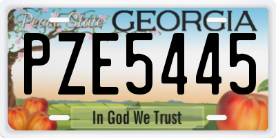 GA license plate PZE5445