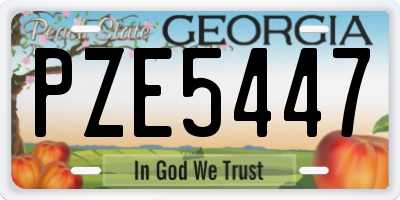 GA license plate PZE5447
