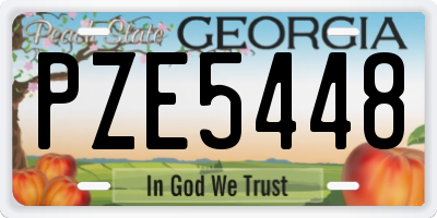 GA license plate PZE5448