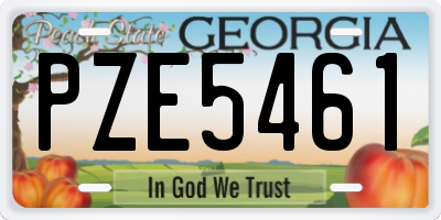 GA license plate PZE5461