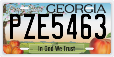 GA license plate PZE5463