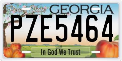 GA license plate PZE5464