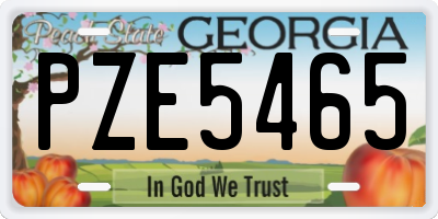 GA license plate PZE5465