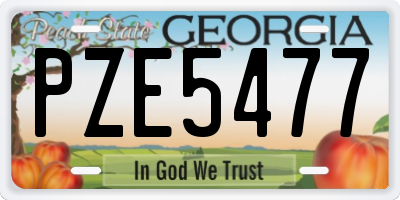 GA license plate PZE5477