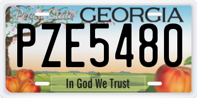 GA license plate PZE5480