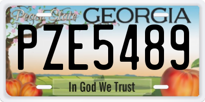GA license plate PZE5489