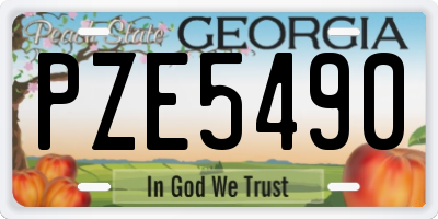 GA license plate PZE5490