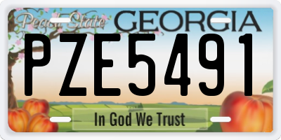 GA license plate PZE5491