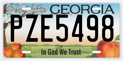 GA license plate PZE5498