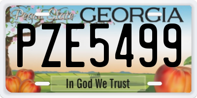 GA license plate PZE5499