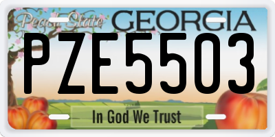 GA license plate PZE5503