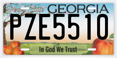 GA license plate PZE5510