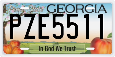 GA license plate PZE5511