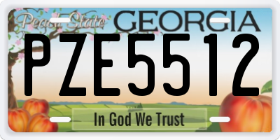 GA license plate PZE5512