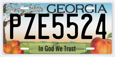 GA license plate PZE5524