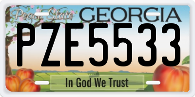 GA license plate PZE5533