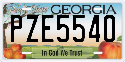 GA license plate PZE5540