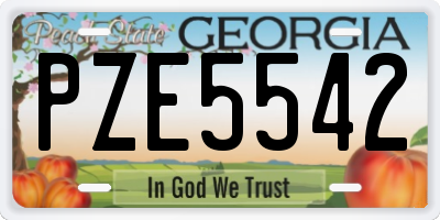 GA license plate PZE5542