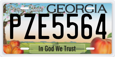 GA license plate PZE5564