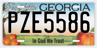 GA license plate PZE5586
