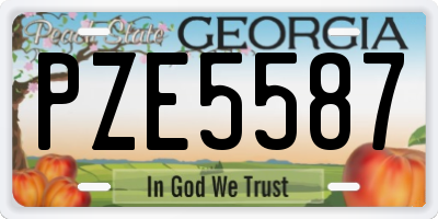 GA license plate PZE5587