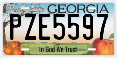 GA license plate PZE5597