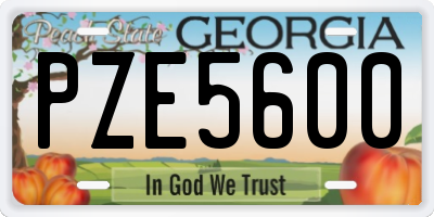 GA license plate PZE5600