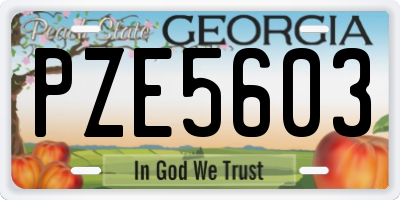 GA license plate PZE5603