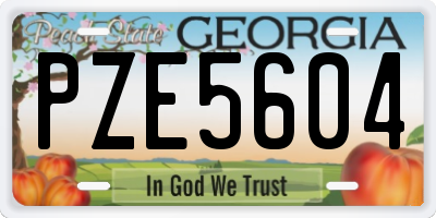 GA license plate PZE5604