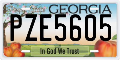 GA license plate PZE5605