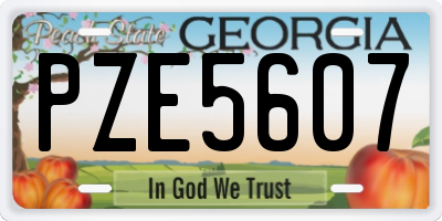 GA license plate PZE5607