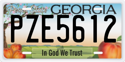 GA license plate PZE5612